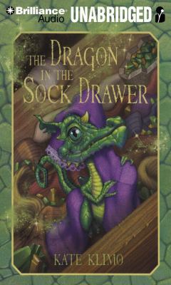 The Dragon in the Sock Drawer 1441802185 Book Cover