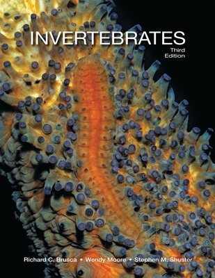 Invertebrates B0771J4VGY Book Cover