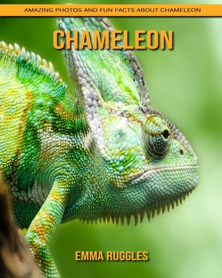 Chameleon: Amazing Photos and Fun Facts about Chameleon