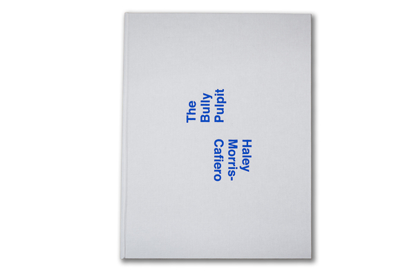 The Bully Pulpit 0998649082 Book Cover