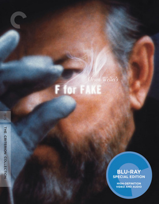 F For Fake B00LUSUU92 Book Cover