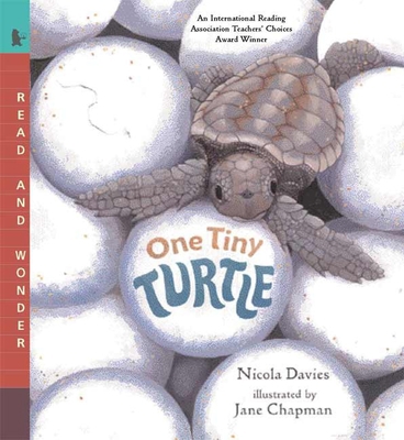 One Tiny Turtle: Read and Wonder B00QFX5CUO Book Cover