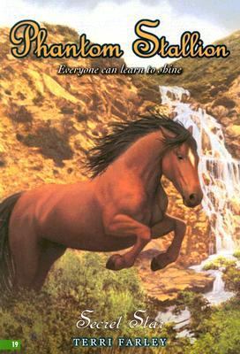 Secret Star 0060758473 Book Cover