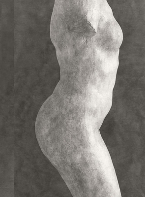 Rodin: Photographs by Emmanuel Berry 236511105X Book Cover