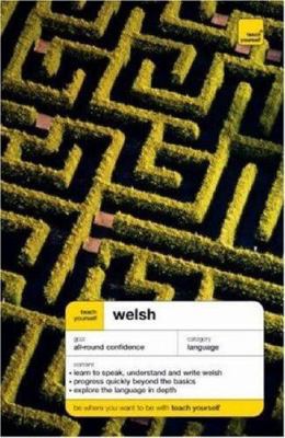 Teach Yourself Welsh 0340860499 Book Cover