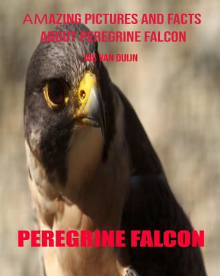 Peregrine Falcon: Amazing Pictures and Facts about Peregrine Falcon 1090322496 Book Cover