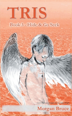 Tris 3 - Hide & Go Seek 168235508X Book Cover