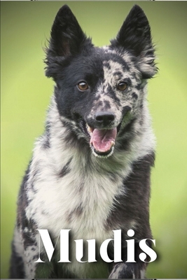 Mudis: Dog breed overview and guide B0CB2FV14F Book Cover