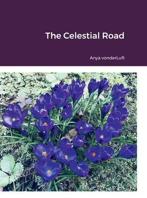 The Celestial Road 1387554417 Book Cover