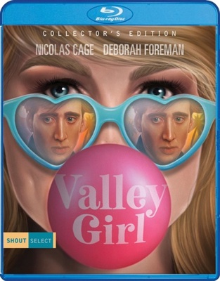Valley Girl            Book Cover