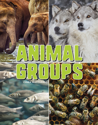 Animal Groups 168342347X Book Cover