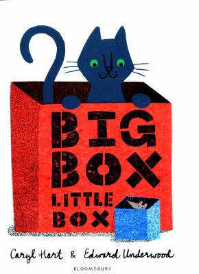 Big Box Little Box            Book Cover