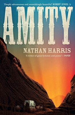 Amity 1035404672 Book Cover