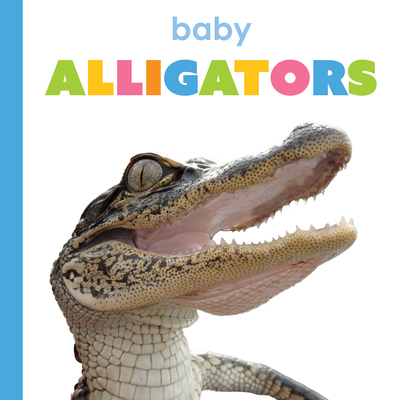 Baby Alligators B0F549HB59 Book Cover