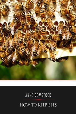 How to Keep Bees 1541351746 Book Cover