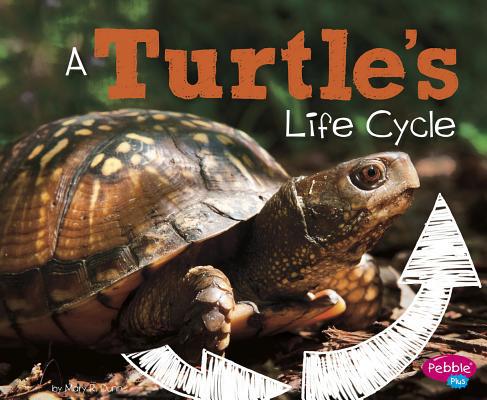 A Turtle's Life Cycle 1515770540 Book Cover