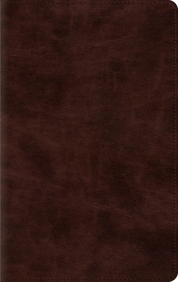 ESV Thinline Bible, Red Letter (Trutone, Espresso) B0DWNGPV6C Book Cover