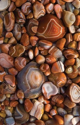 Agates Journal 1935666142 Book Cover