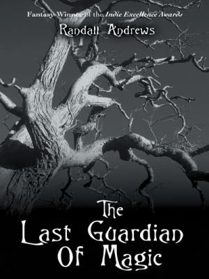 The Last Guardian of Magic 0595473458 Book Cover