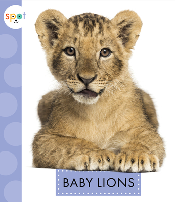 Baby Lions 1681522543 Book Cover