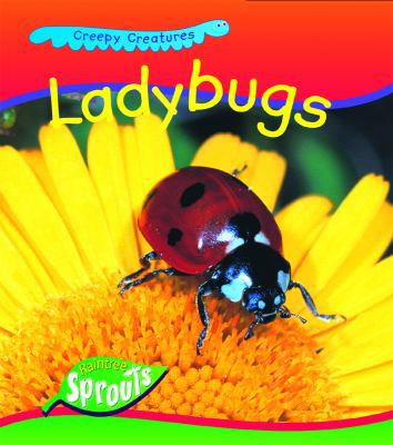 Ladybugs (Creepy Creatures) 1410906493 Book Cover