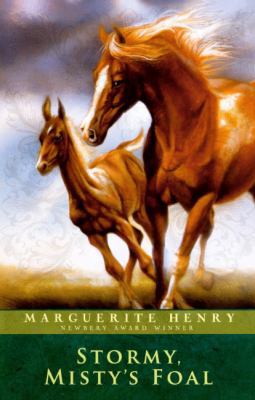 Stormy, Misty's Foal 141783241X Book Cover