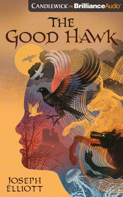 The Good Hawk 1978665326 Book Cover