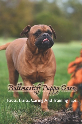 Bullmastiff Puppy Care: Facts, Traits, Caring A...            Book Cover