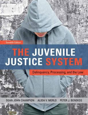 The Juvenile Justice System: Delinquency, Proce... 0132764466 Book Cover