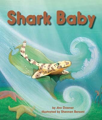 Shark Baby 1607186225 Book Cover