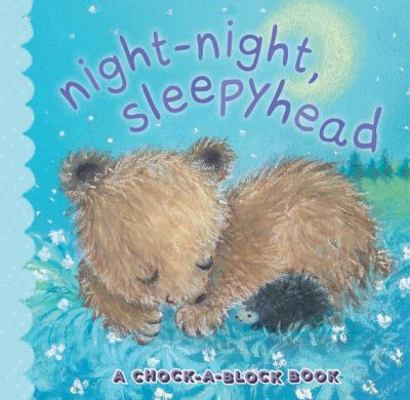 Night-Night, Sleepyhead: A Chock-A-Block Book 1442409029 Book Cover