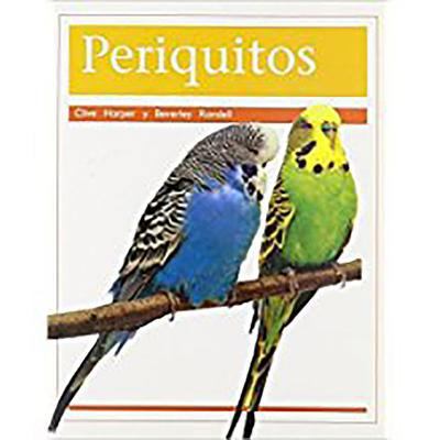 Periquitos (Parakeets): Bookroom Package (Level... [Spanish] 1418973815 Book Cover