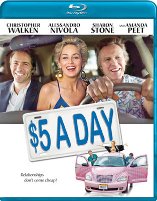 $5 a Day            Book Cover