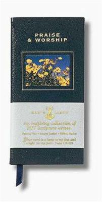 Praise and Worship 0310974267 Book Cover