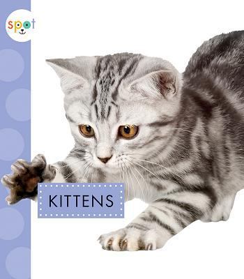 Kittens 1681515334 Book Cover