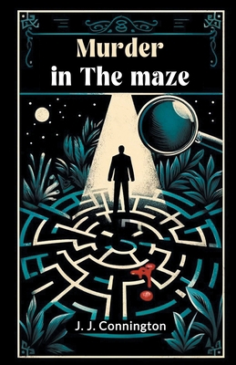 Murder In The Maze 9364288912 Book Cover