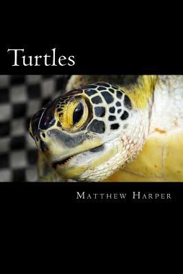 Turtles: A Fascinating Book Containing Turtle F... 1500228141 Book Cover