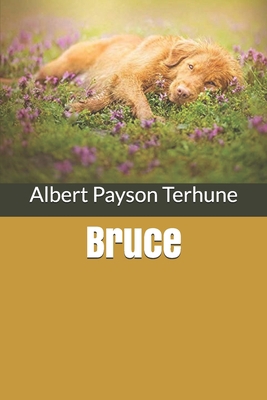 Bruce B0851MHS2R Book Cover