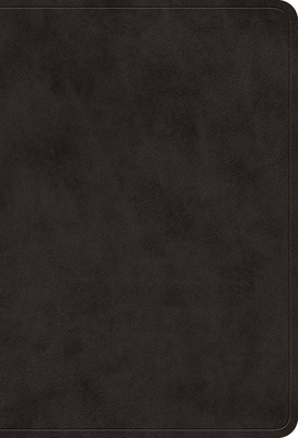 ESV Value Large Print Compact Bible (Trutone, B... B0DWNHFQ7G Book Cover