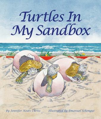 Turtles in My Sandbox 1607188724 Book Cover