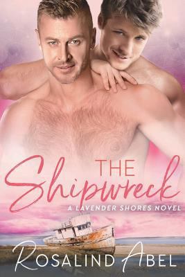The Shipwreck 1549877682 Book Cover