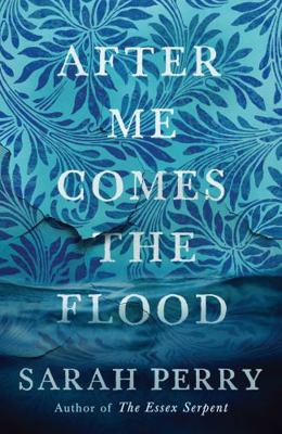 After Me Comes the Flood 1781259550 Book Cover
