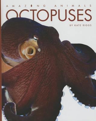 Octopuses 160818613X Book Cover