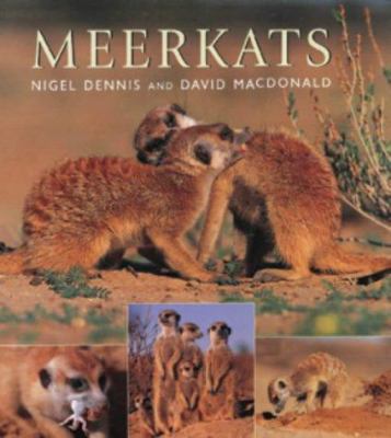 Meerkats 1868723100 Book Cover
