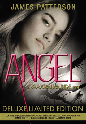 Angel [With Poster] 0316038326 Book Cover