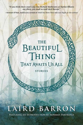 The Beautiful Thing That Awaits Us All 159780553X Book Cover