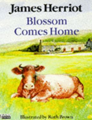Blossom Comes Home 0330314718 Book Cover
