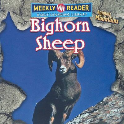 Bighorn Sheep 0836863224 Book Cover