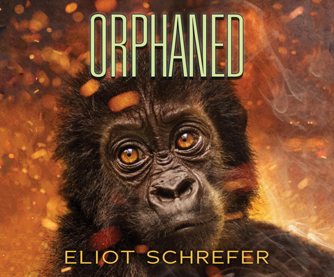 Orphaned 197490458X Book Cover