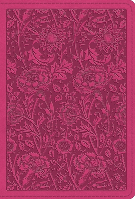ESV Large Print Compact Bible, Red Letter (Trut... B0DWNDH9NV Book Cover